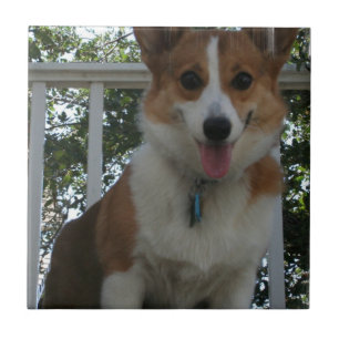 Carreau En Céramique Tuile de chiot de corgi