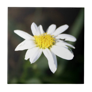 Carreau En Céramique Tuile de fleur de marguerite