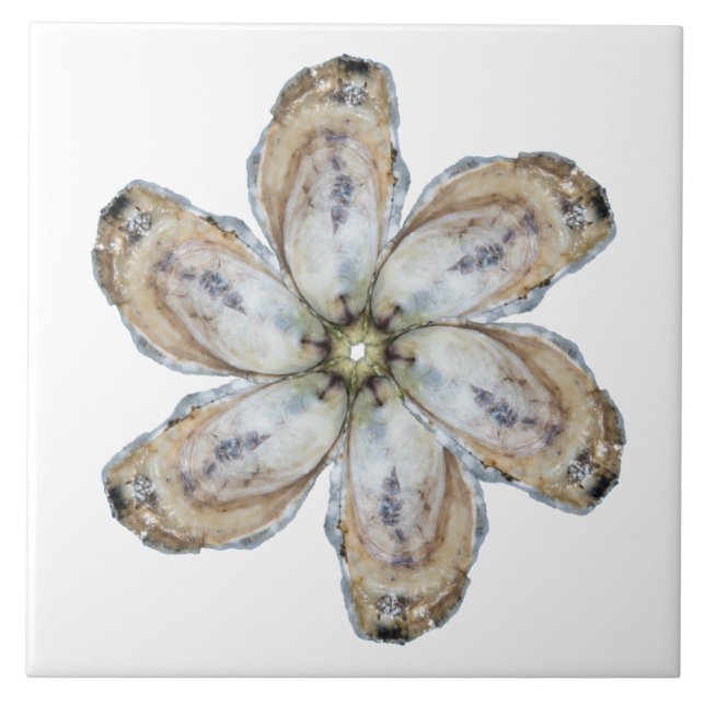Carreau En Céramique Tuile de fleur d'huître - concevez un blanc (Devant)
