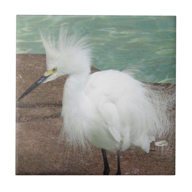 Carreau En Céramique Tuile de hérons de Milou (Devant)