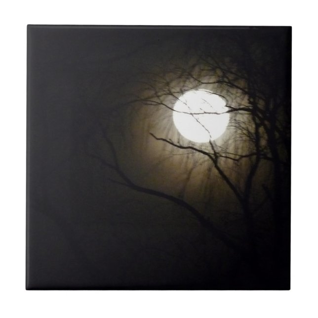 Carreau En Céramique Tuile de lever de la lune (Devant)