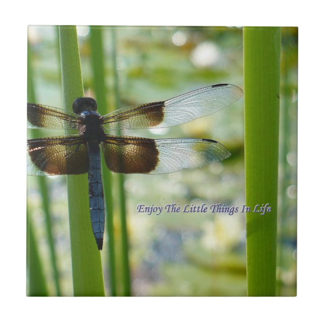 Carreau En Céramique Tuile de libellule (Devant)