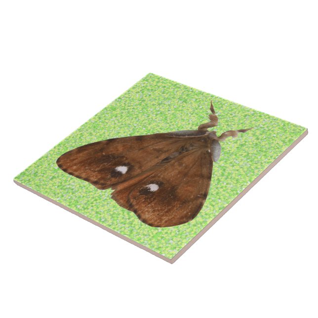 Carreau En Céramique Tuile de papillon (Côté)