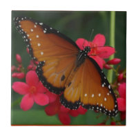Tuile de papillon orange
