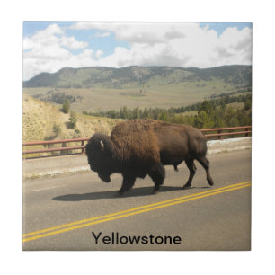 Carreau En Céramique Tuile de parc national de Yellowstone (2)