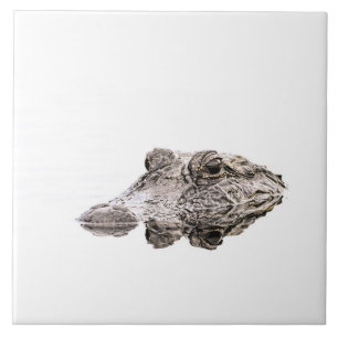 Carreau En Céramique Tuile de photo d'alligator
