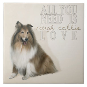 Carreau En Céramique Tuile de Rough Collie