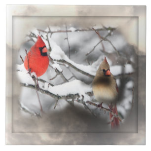 Carreau En Céramique Tuile de scène d'hiver de cardinaux
