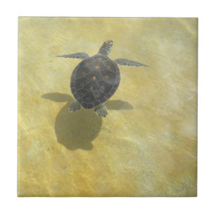 Carreau En Céramique Tuile de tortue