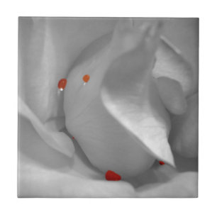 Carreau En Céramique Tuile décorative d'aquarelle éolienne