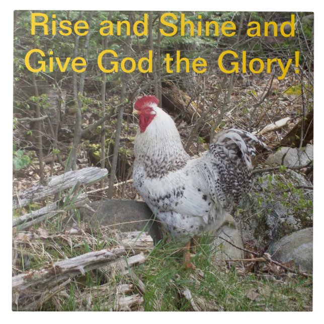 Carreau En Céramique Tuile décorative de coq (Devant)