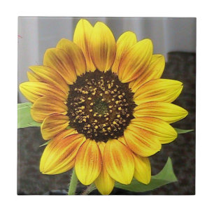 Carreau En Céramique Tuile décorative de grand tournesol
