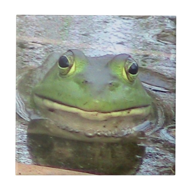 Carreau En Céramique Tuile décorative de grenouille (Devant)