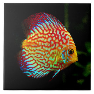 Carreau En Céramique Tuile décorative de poissons d'aquarium de disque