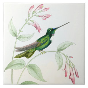 Carreau En Céramique Tuile des colibris de Goulds