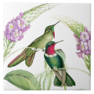 Carreau En Céramique Tuile des colibris de Goulds
