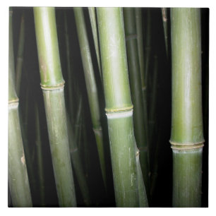 Carreau En Céramique Tuile en bambou de mur de conception