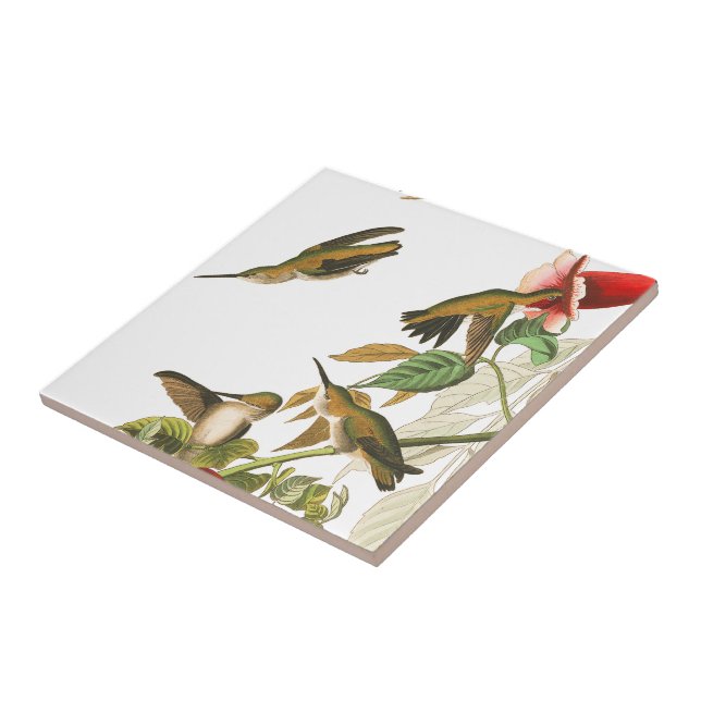 Carreau En Céramique Tuile florale de faune d'oiseaux de colibri (Côté)