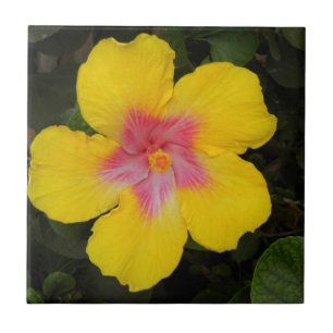 Carreau En Céramique Tuile florale Hawaï de ketmie jaune tropicale