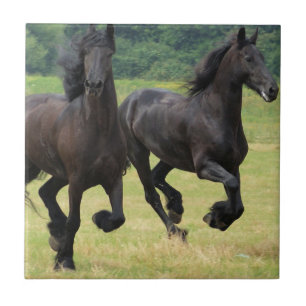 Carreau En Céramique Tuile frisonne galopante de chevaux