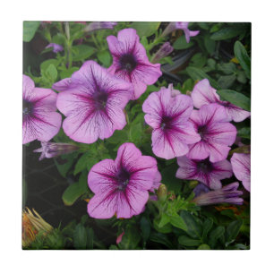 Carreau En Céramique Tuile mauve