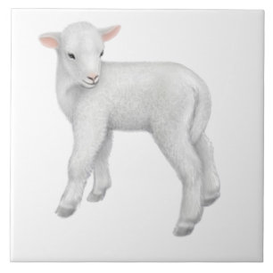 Carreau En Céramique Tuile personnalisable de petit agneau de bébé