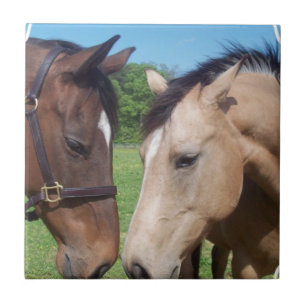Carreau En Céramique Tuile Romance de cheval