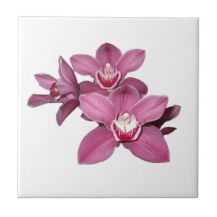 Carreau En Céramique Tuile rose d'orchidées de Cymbidium