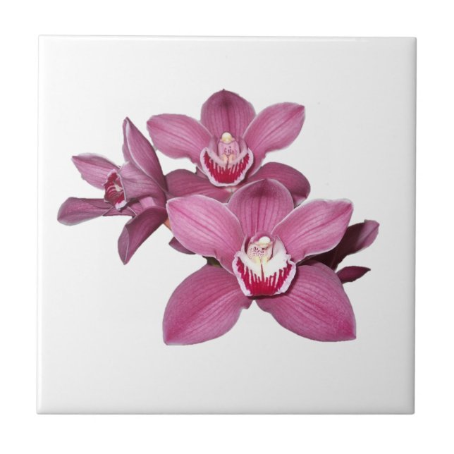 Carreau En Céramique Tuile rose d'orchidées de Cymbidium (Devant)