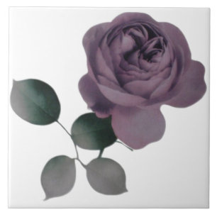 Carreau En Céramique Tuile Rose violet