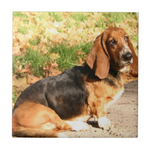 Carreau En Céramique Tuile se reposante de Basset Hound