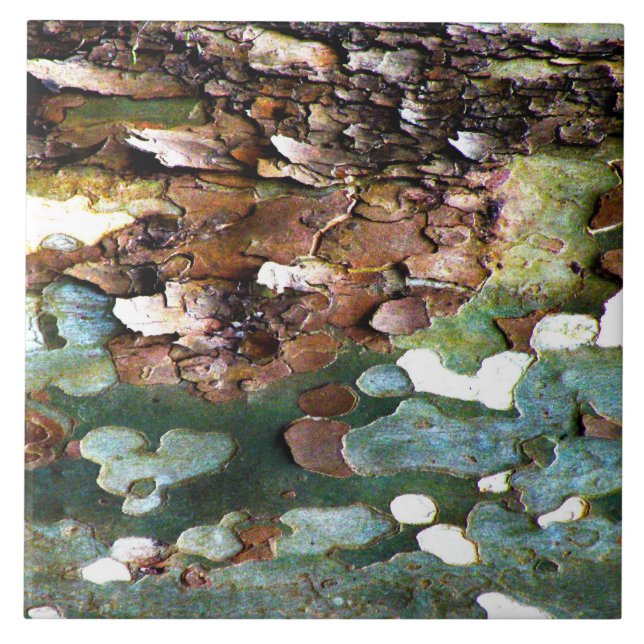 Carreau En Céramique Tuile texturisée d'écorce d'arbre (Devant)