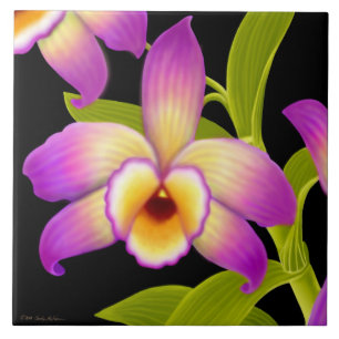 Carreau En Céramique Tuile tropicale d'orchidée de Nobile de Dendrobium