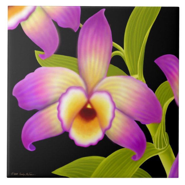 Carreau En Céramique Tuile tropicale d'orchidée de Nobile de Dendrobium (Devant)
