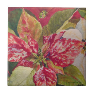 Carreau En Céramique Tuile variée de poinsettia