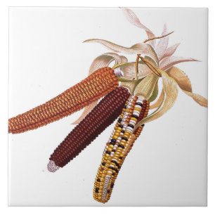 Carreau En Céramique Tuile vintage de maïs