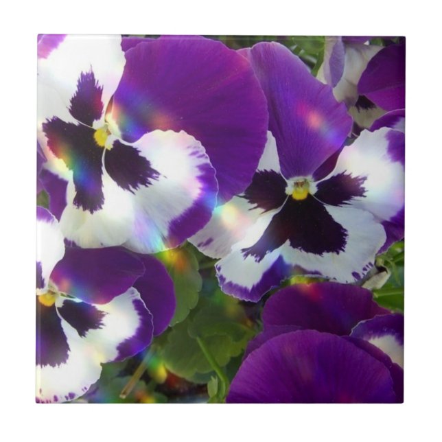 Carreau En Céramique Tuiles ou trépieds de pensées (Devant)