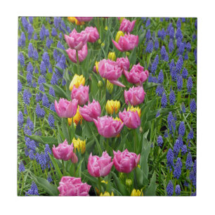 Carreau En Céramique Tulières à ressort rose et jaune