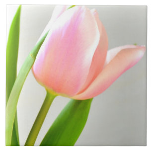 Carreau En Céramique Tulipe lumineuse