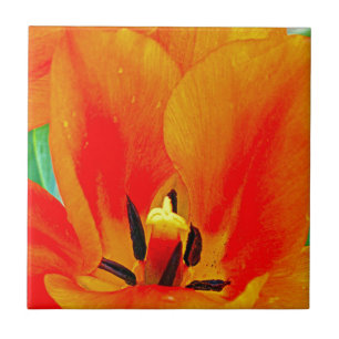 Carreau En Céramique Tulipe orange
