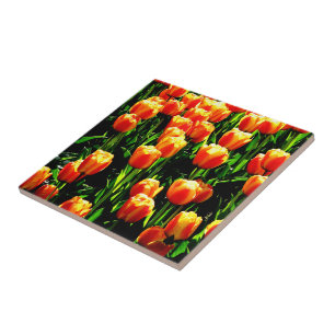Carreau En Céramique Tulipes de soleil