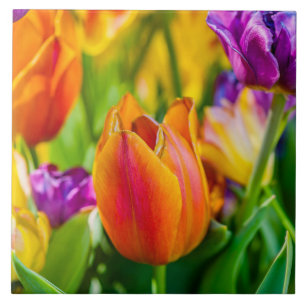 Carreau En Céramique Tulipes Enchantant