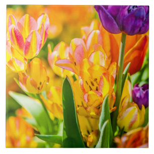 Carreau En Céramique Tulipes Enchanter 01