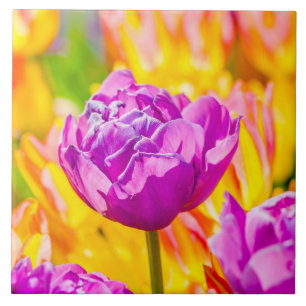 Carreau En Céramique Tulipes Enchanter 12