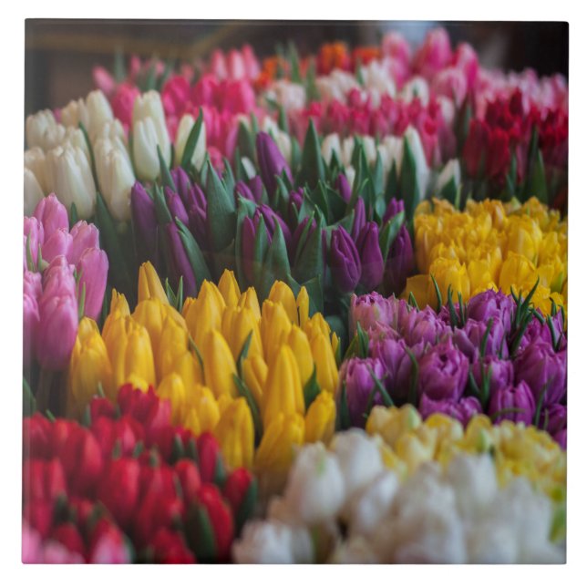 Carreau En Céramique Tulipes multicolores (Devant)