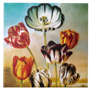 Carreau En Céramique Tulipes sous le ciel Tile