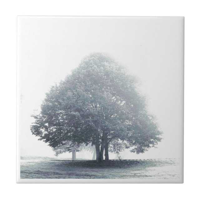 Carreau En Céramique Un arbre dans le brouillard (Devant)