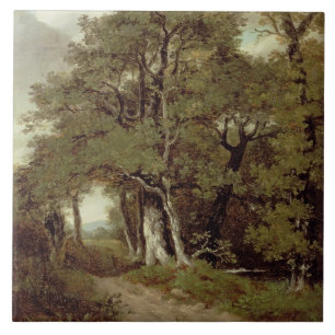Carreau En Céramique Un chemin boisé