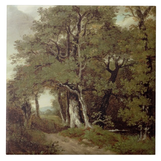 Carreau En Céramique Un chemin boisé (Devant)