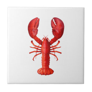 Carreau En Céramique Un crustacé de homard rouge sur blanc